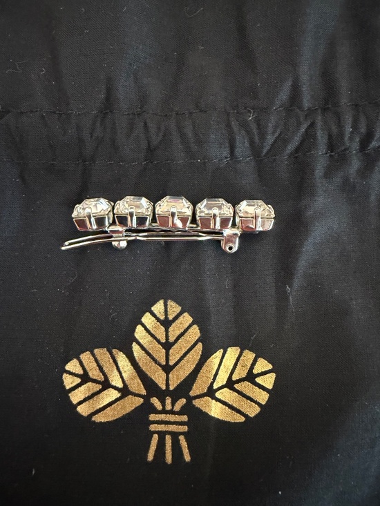 L. Erickson / France Luxe Crystal Hair Barrette
